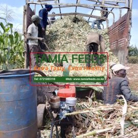 7 Tonnes Truck Non Full Corn Loose Silage