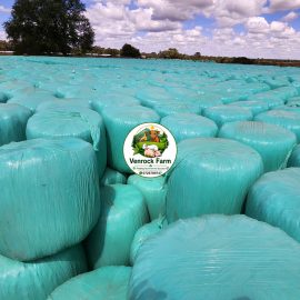 Baled Full Corn Maize Silage