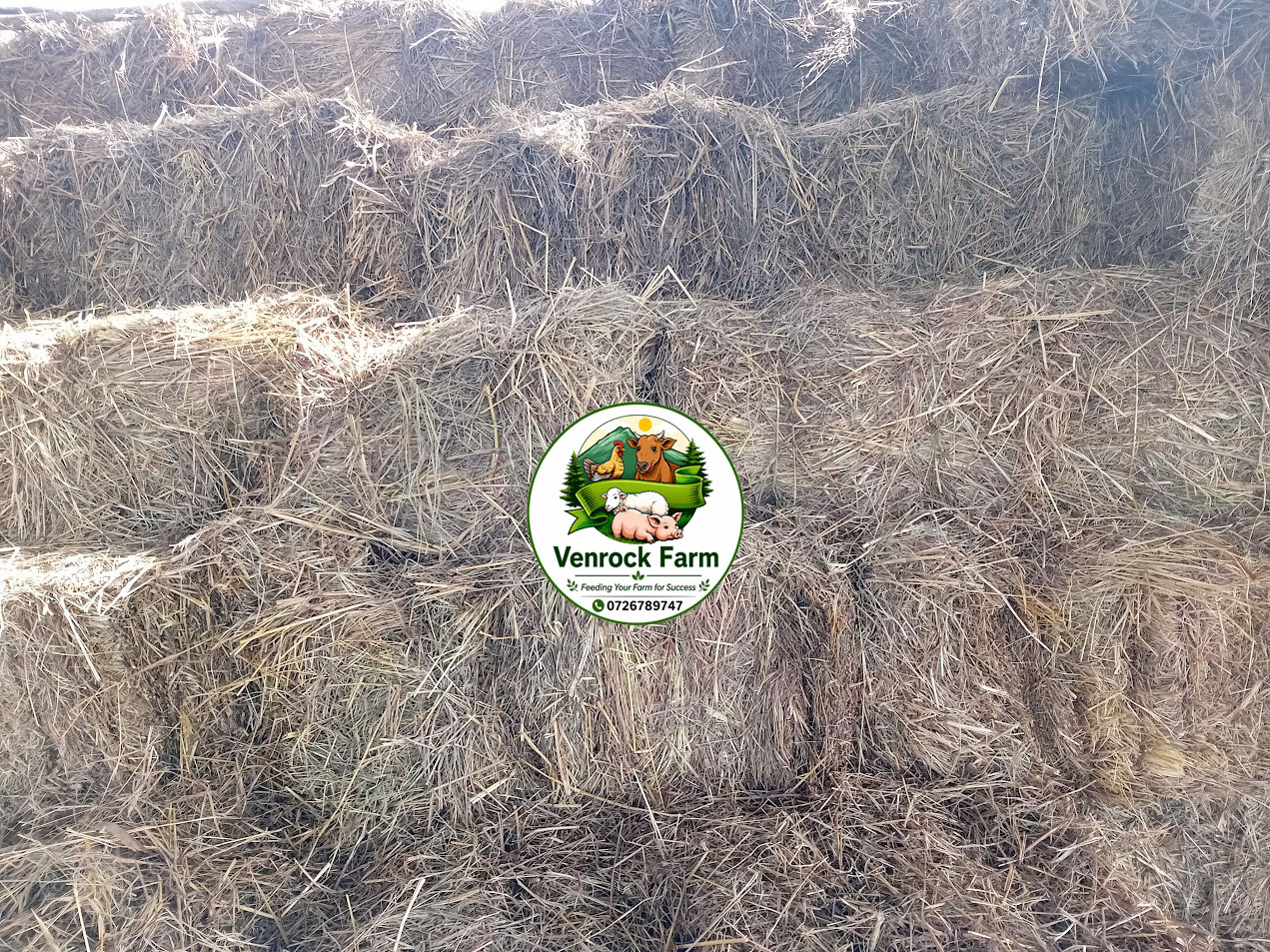 Freshly Baled Hay - Image 3